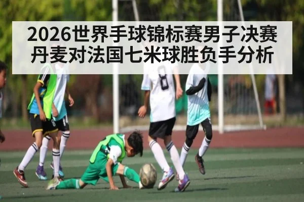2026世界手球锦标赛男子决赛丹麦对法国七米球胜负手分析