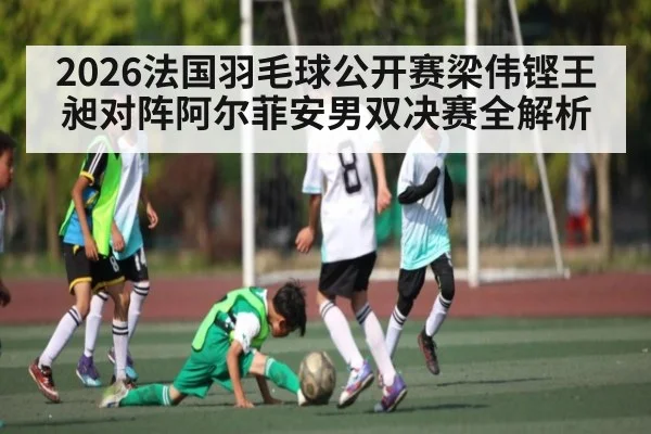2026法国羽毛球公开赛梁伟铿王昶对阵阿尔菲安男双决赛全解析