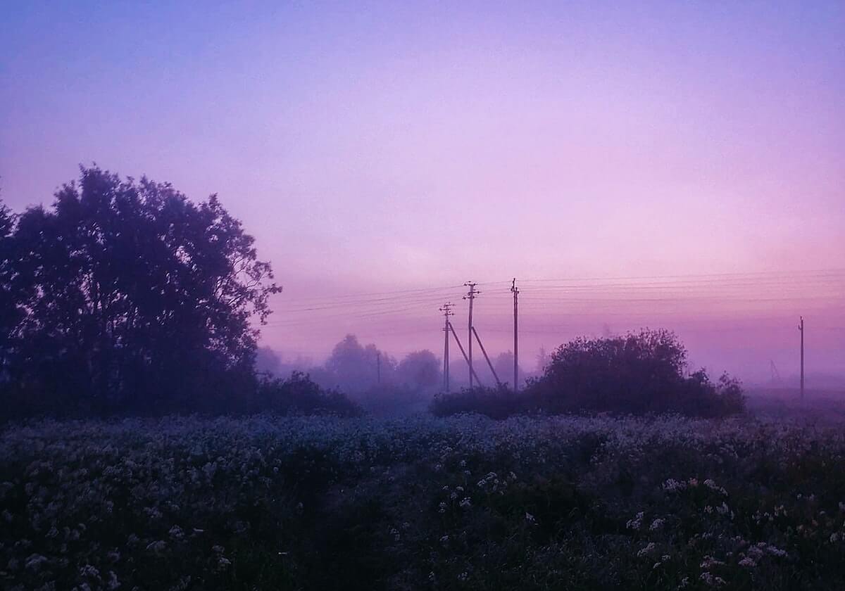 雷速体育官网首页-利雅得胜利晒队内庆祝马内非洲杯夺冠，C罗为他切蛋糕